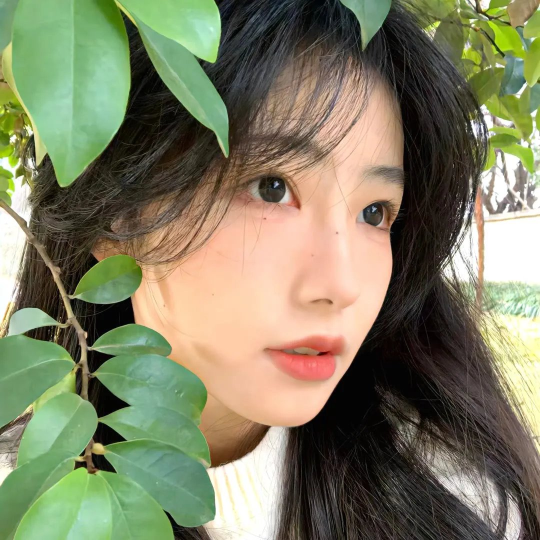爱在战火下